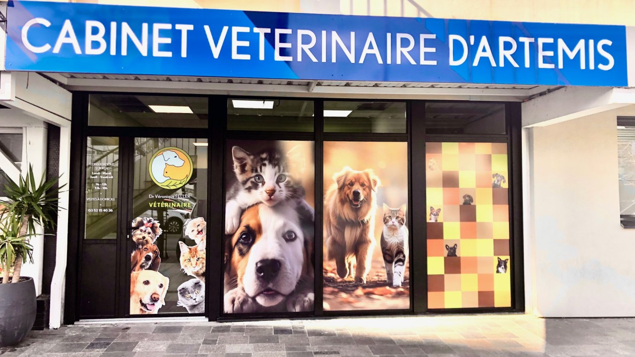 Vitrine